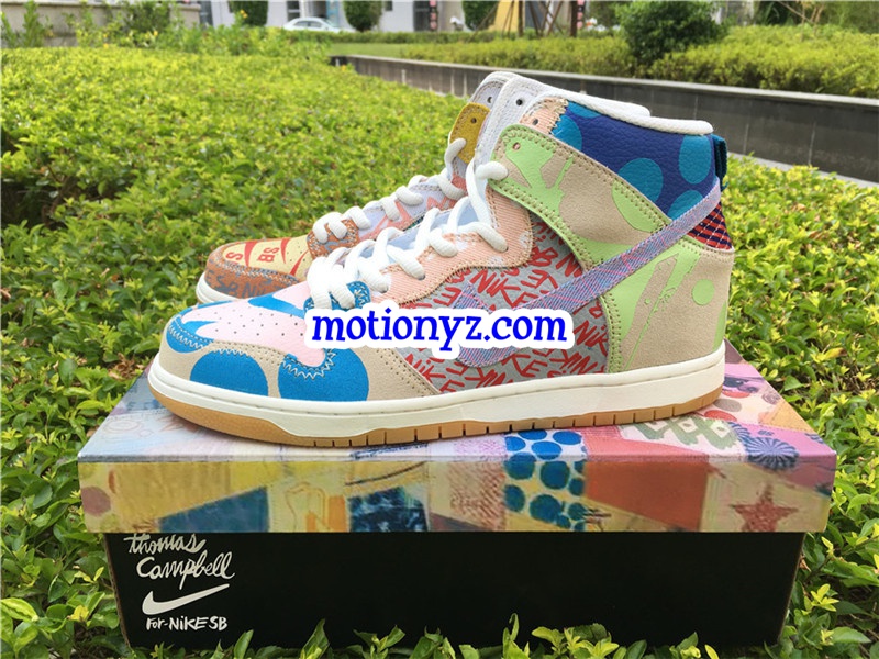 Nike Dunk SB TC X What The Dunk